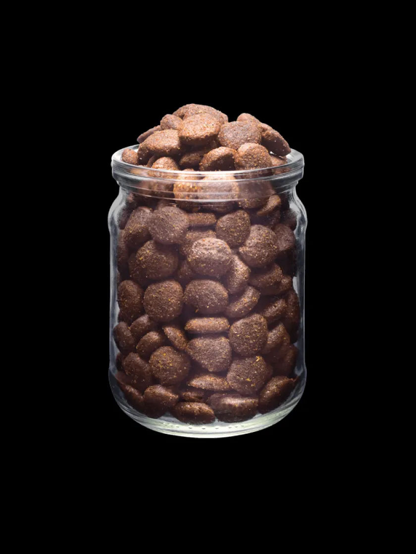 Brit Fresh Adultos (1 A 7 Años) | Productos Outlet^Pescado y Calabaza perros Adultos de raza grande 2.5kg