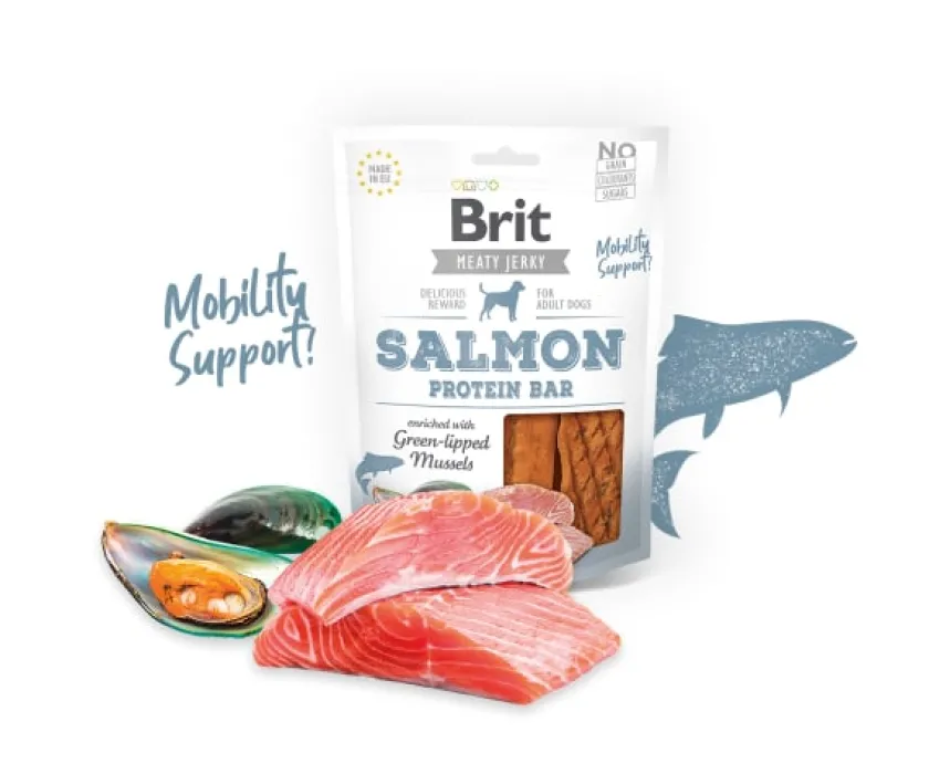 Brit Care Naturales | Galletas Y Snacks^Brit Meaty Jerky Salmon Protein Bar Snack Para Perros 80gr