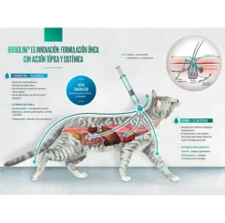 Boehringer Antipulgas Y Garrapatas^Broadline Spot On Pipeta Gato 0.6-2.5Kg X 1 UNID