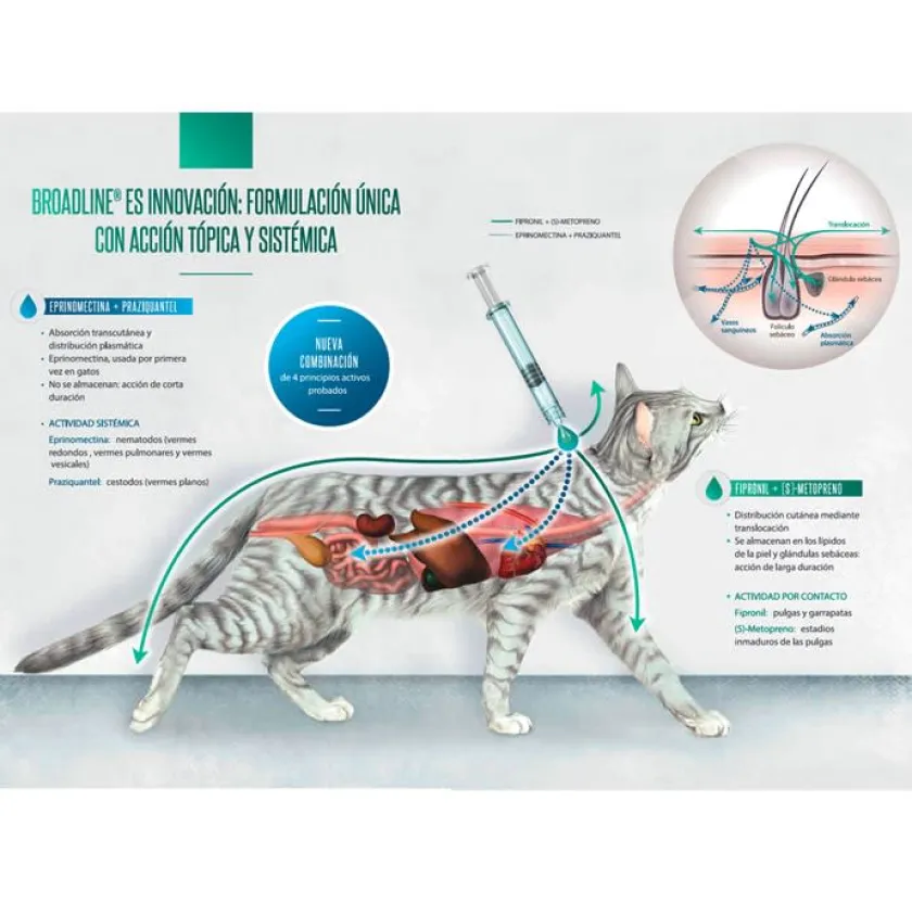 Boehringer Antipulgas Y Garrapatas^Broadline Spot On Pipeta Gato 0.6-2.5Kg X 1 UNID