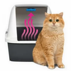 Cat it Areneros | Baños Sanitarios (areneros)^Magic Blue Cartucho
