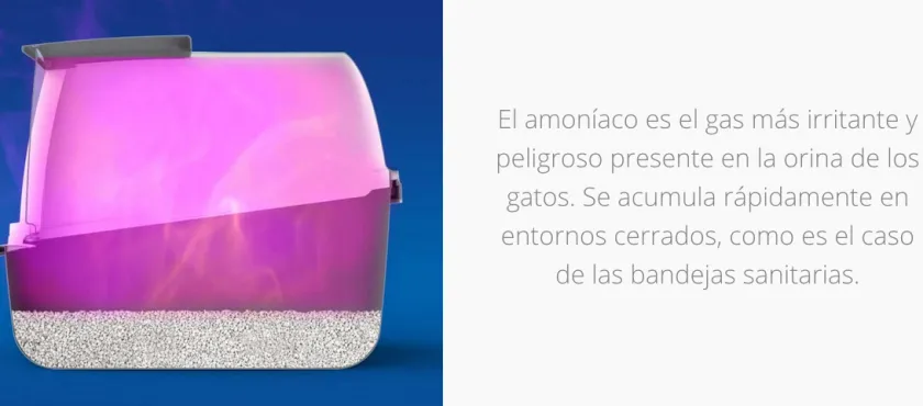 Cat it Areneros | Baños Sanitarios (areneros)^Magic Blue Cartucho