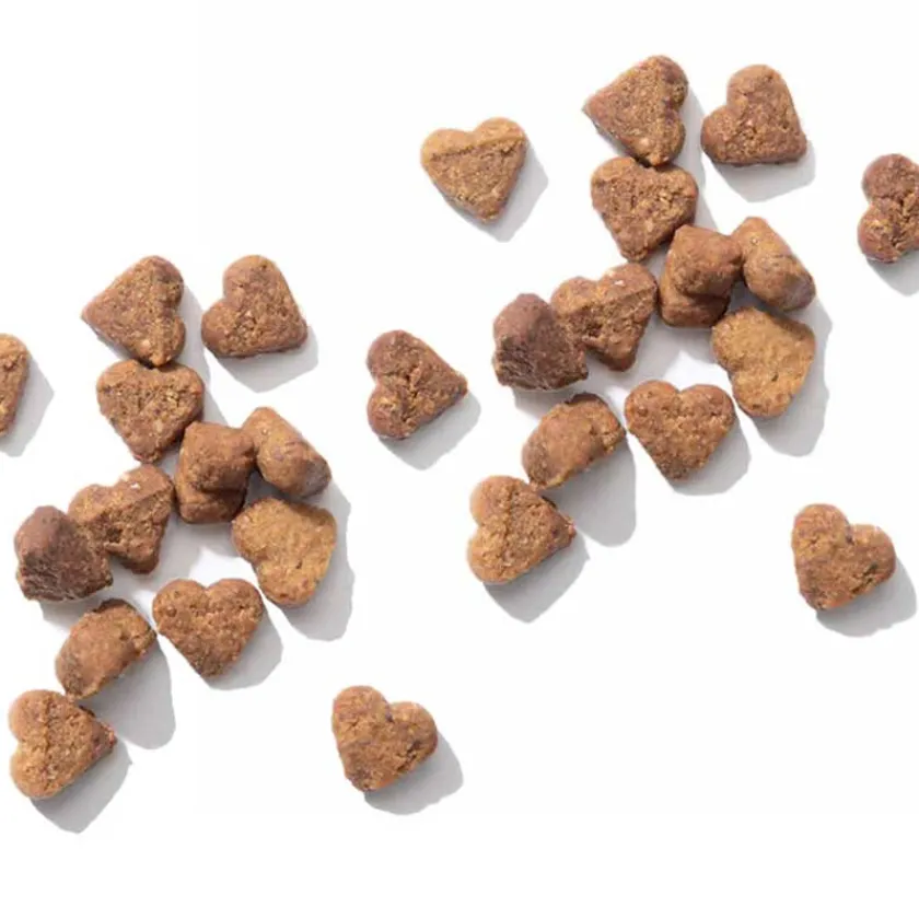 Cat it Galletas^Nuna con Proteína de Insecto 60gr