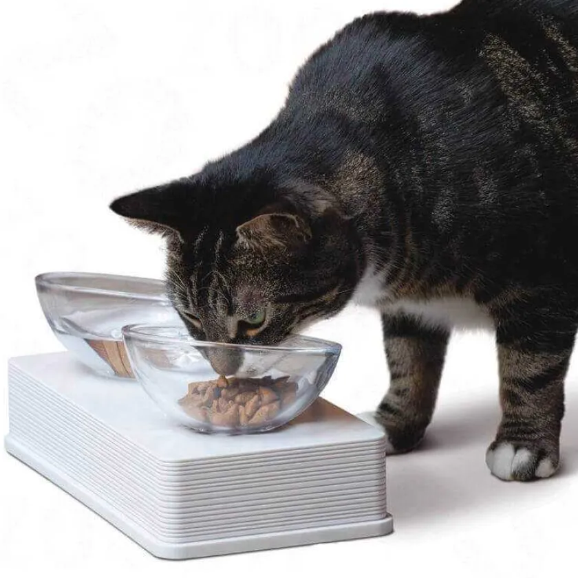 Cat it Comederos Y Fuentes De Agua^Plato de vidrio Base Blanca para gatos