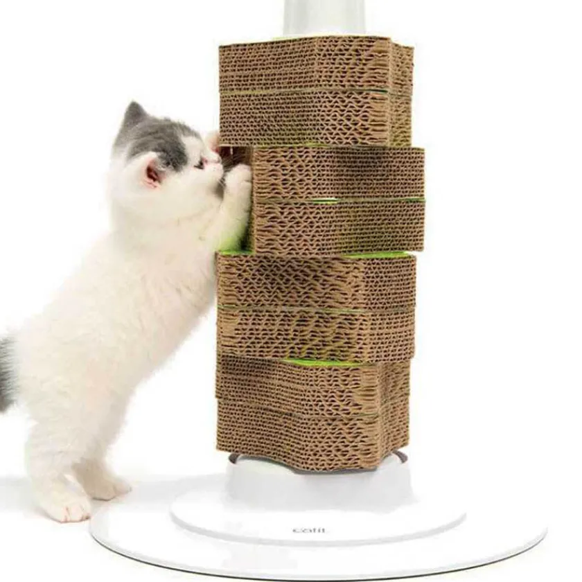 Cat it Gateras Y Rascadores^Rasguñador Renovable