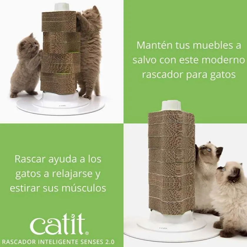 Cat it Gateras Y Rascadores^Rasguñador Renovable