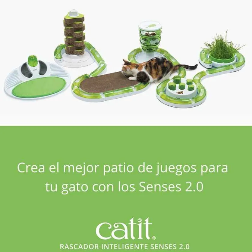 Cat it Gateras Y Rascadores^Rasguñador Renovable