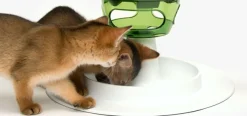 Cat it Comederos Y Fuentes De Agua | Juguetes^Senses 2.0 Food Tree
