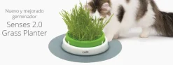 Cat it Hierba Gatera | Juguetes^Senses 2.0 Grass Planter