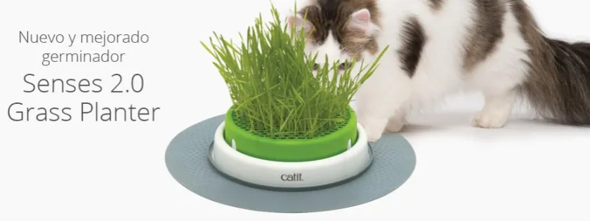 Cat it Hierba Gatera | Juguetes^Senses 2.0 Grass Planter