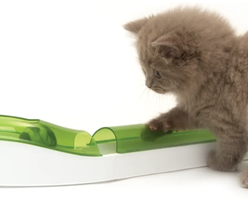 Cat it Juguetes^Senses 2.0 Play Circuit