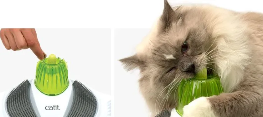 Cat it Relajación Para Gatos | Juguetes^Senses 2.0 Wellness Center