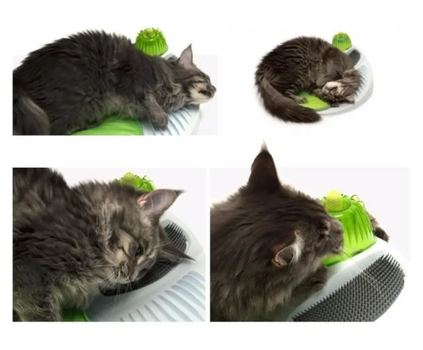 Cat it Relajación Para Gatos | Juguetes^Senses 2.0 Wellness Center