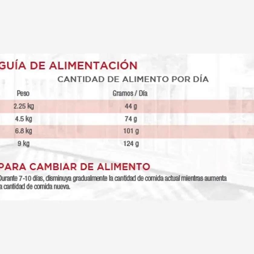 Diamond Naturals Adultos (1 A 7 Años)^Indoor Cat Chicken Rice 3kg
