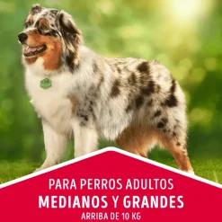 Dog Chow - Purina Adultos (1 A 7 Años)^DOG CHOW Perros Adultos Medianos y Grandes Pollo y Pavo 8kg