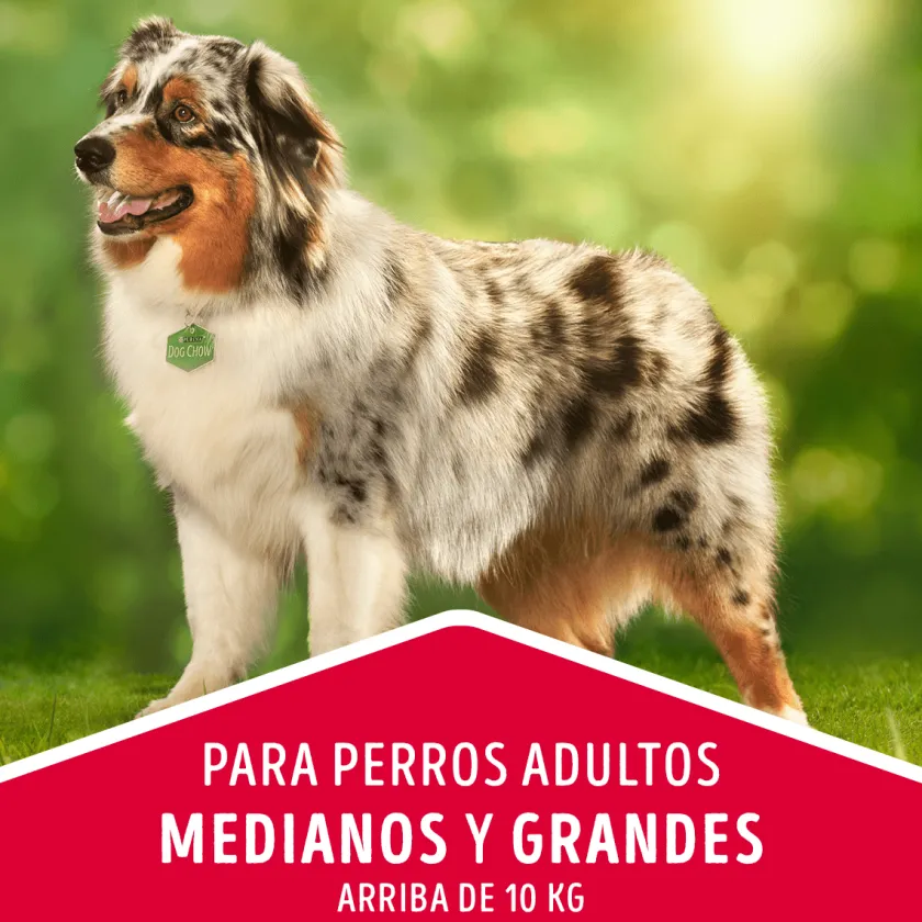 Dog Chow - Purina Adultos (1 A 7 Años)^DOG CHOW Perros Adultos Medianos y Grandes Pollo y Pavo 8kg