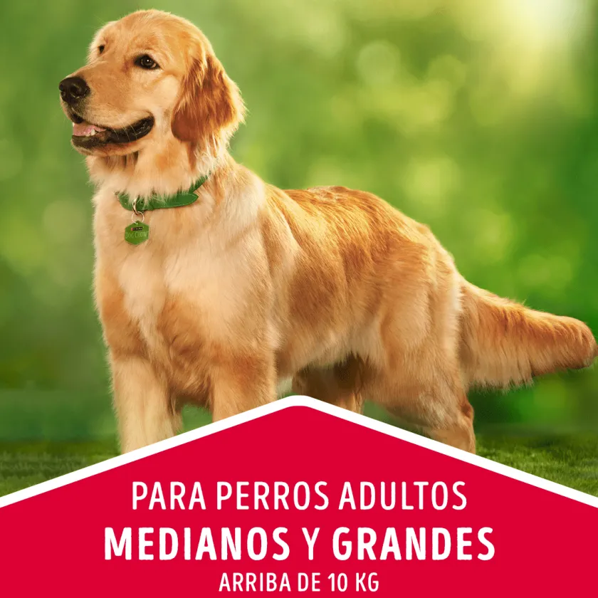 Dog Chow - Purina Adultos (1 A 7 Años)^DOG CHOW Perros Adultos Medianos y Grandes Carne y Pollo 8kg