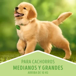 Dog Chow - Purina Cachorros (0 A 12 Meses)^DOG CHOW Perros Cachorros Medianos y Grandes 8kg