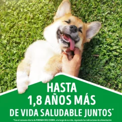 Dog Chow - Purina Cachorros (0 A 12 Meses)^DOG CHOW Perros Cachorros Medianos y Grandes 8kg