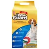 Dog It Carpetas De Entrenamiento^Carpeta Orientadora Medium 30 Unidades