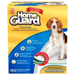 Dog It Carpetas De Entrenamiento^Carpeta Orientadora Medium 100 Unidades