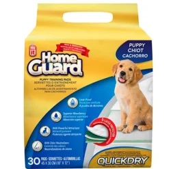 Dog It Carpetas De Entrenamiento^Carpeta Orientadora Small 30 Unidades