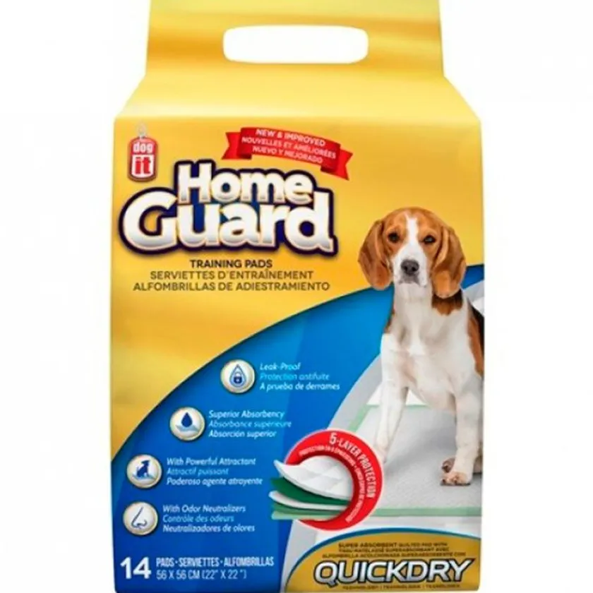 Dog It Carpetas De Entrenamiento^Carpeta Orientadora Medium 14 Unidades