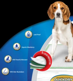 Dog It Carpetas De Entrenamiento^Carpeta Orientadora Medium 100 Unidades