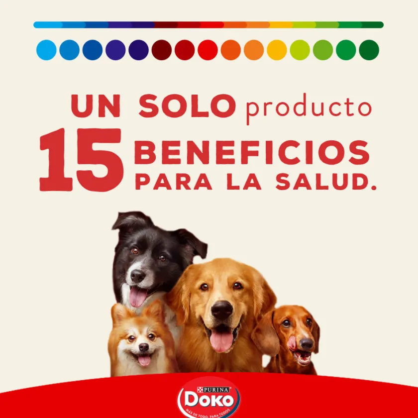Doko Adultos (1 A 7 Años)^Adulto Carne, Pollo Cerales y Vegetales 18kg