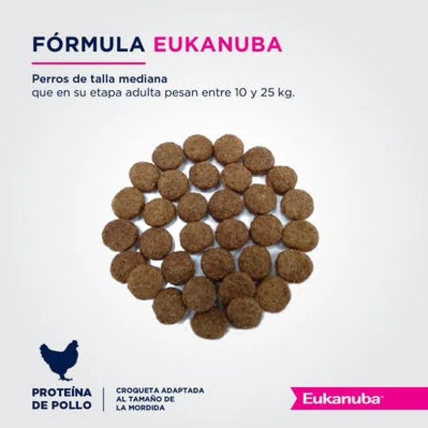 Eukanuba Senior (+7 Años)^Senior 7+ Medium Breed 15kg