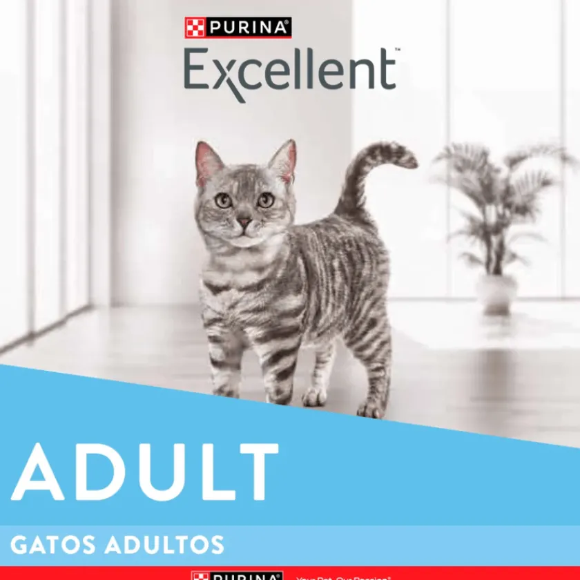 Excellent Adultos (1 A 7 Años)^Cat Adult 3 kg