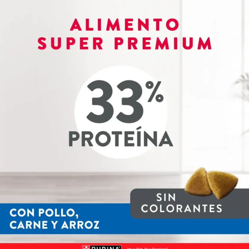 Excellent Adultos (1 A 7 Años)^Cat Adult 3 kg