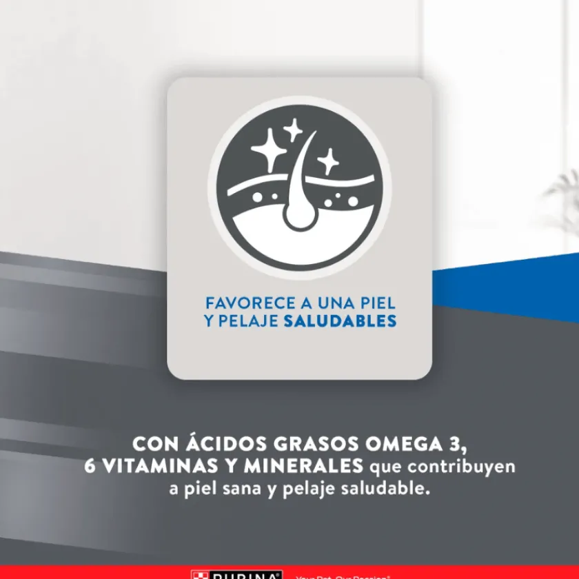 Excellent Adultos (1 A 7 Años)^Cat Adult 3 kg