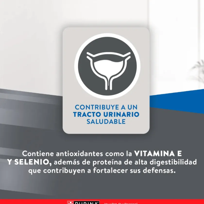 Excellent Adultos (1 A 7 Años)^Cat Adult 3 kg