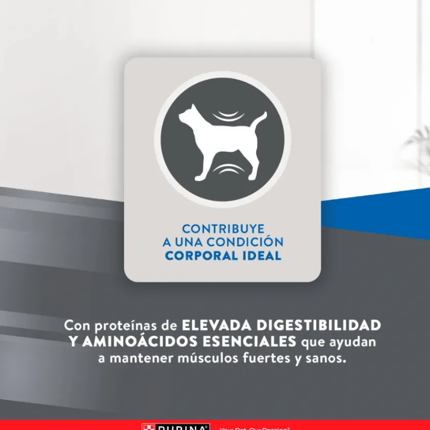 Excellent Adultos (1 A 7 Años)^Cat Adult 7,5 kg