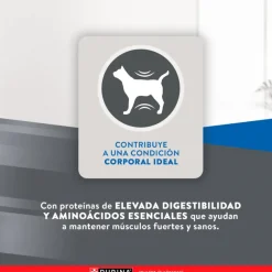 Excellent Adultos (1 A 7 Años)^Cat Adult 3 kg