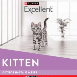 Excellent Gatitos (0 A 12 Meses)^Cat Kitten 7,5 kg