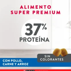 Excellent Gatitos (0 A 12 Meses)^Cat Kitten 7,5 kg