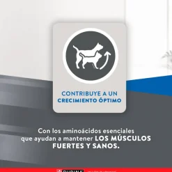 Excellent Gatitos (0 A 12 Meses)^Cat Kitten 7,5 kg