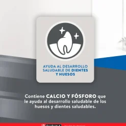 Excellent Gatitos (0 A 12 Meses)^Cat Kitten 7,5 kg