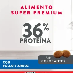Excellent Castrados | Adultos (1 A 7 Años)^Cat Sterilized 1kg