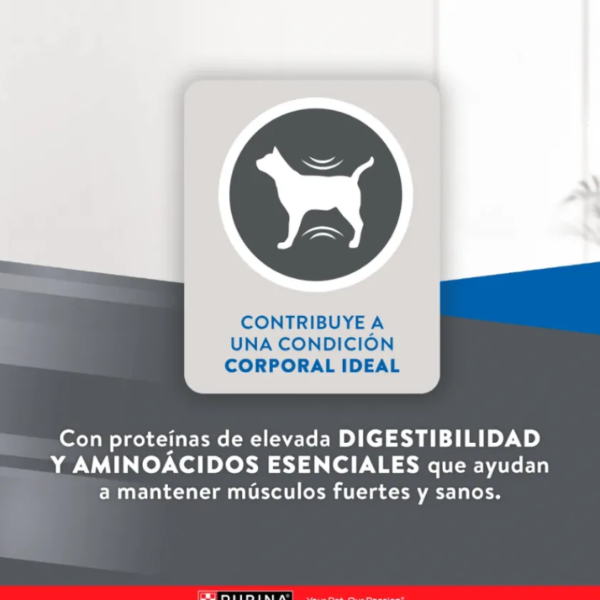 Excellent Castrados | Adultos (1 A 7 Años)^Cat Sterilized 1kg