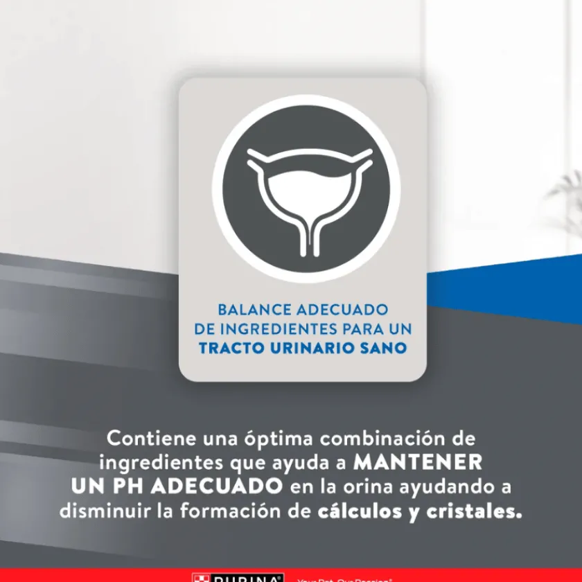 Excellent Castrados | Adultos (1 A 7 Años)^Cat Sterilized 1kg
