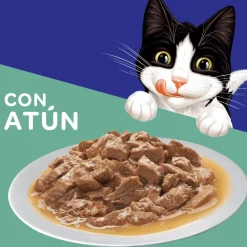 Felix - Purina Húmedos^Felix Adultos Atún en Salsa 85gr Pack 15 Unidades