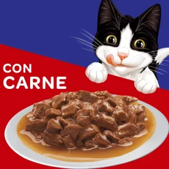Felix - Purina Húmedos^Felix Adultos Carne en Salsa 85gr Pack 15 Unidades