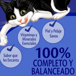 Felix - Purina Húmedos^Felix Adultos Pollo 85gr