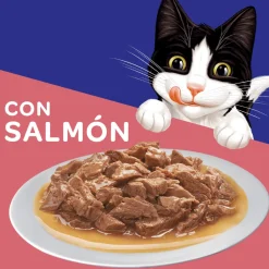 Felix - Purina Húmedos^Felix Adultos Salmón en Salsa 85gr Pack 15 Unidades