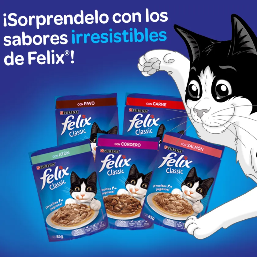 Felix - Purina Húmedos^Felix Adultos Salmón en Salsa 85gr Pack 15 Unidades