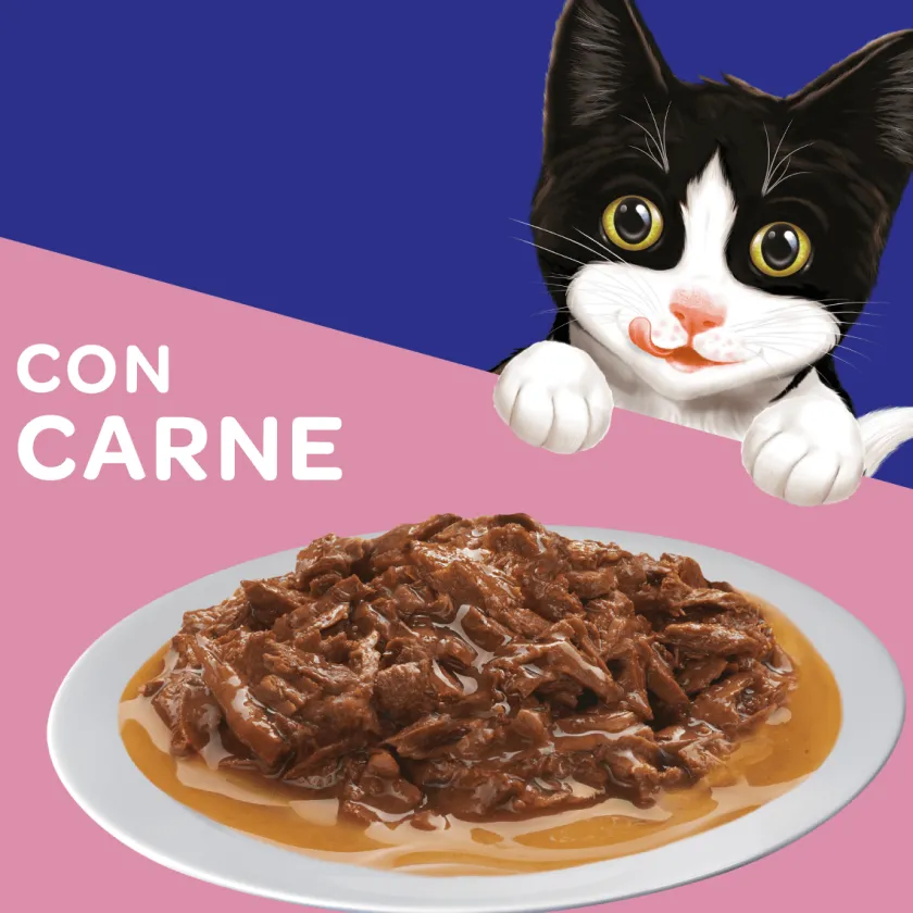 Felix - Purina Húmedos^Felix Gatitos Carne en Salsa 85gr