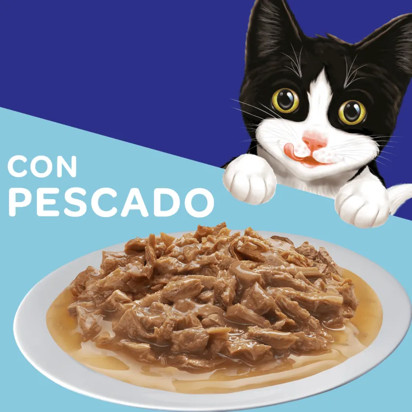 Felix - Purina Húmedos^Felix Gatitos Pescado en Salsa 85gr Pack 15 Unidades
